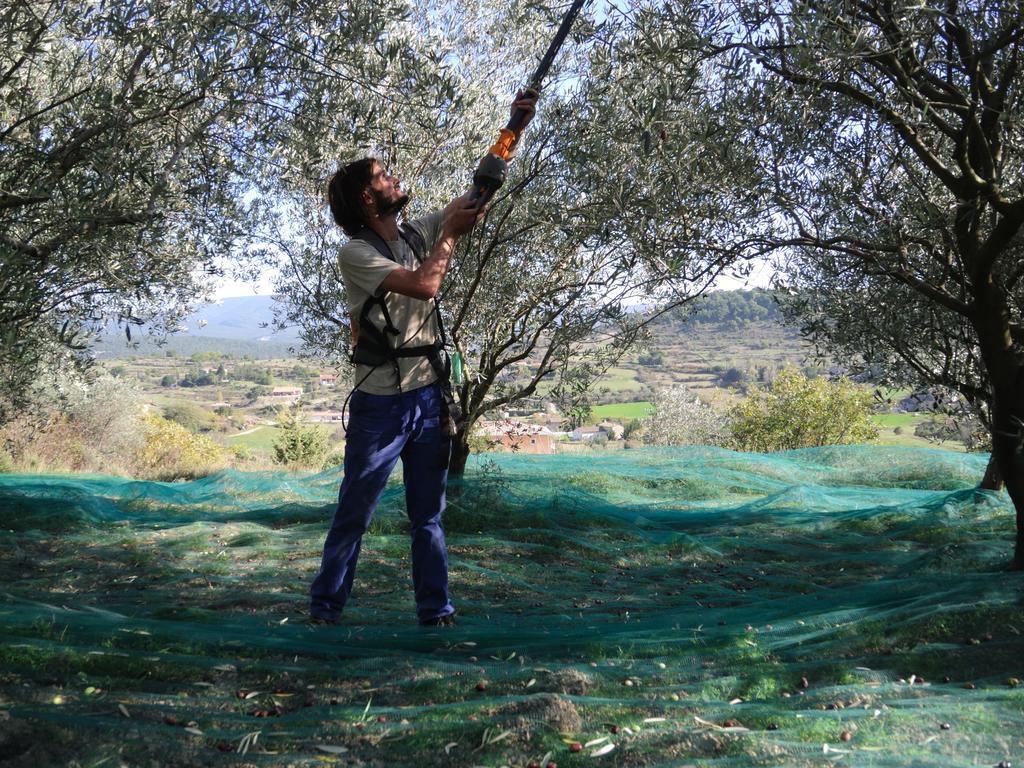 Pontet-Fronzele Agrotourisme Ecologique, Maison D'Hotes & Spa لاغورس المظهر الخارجي الصورة