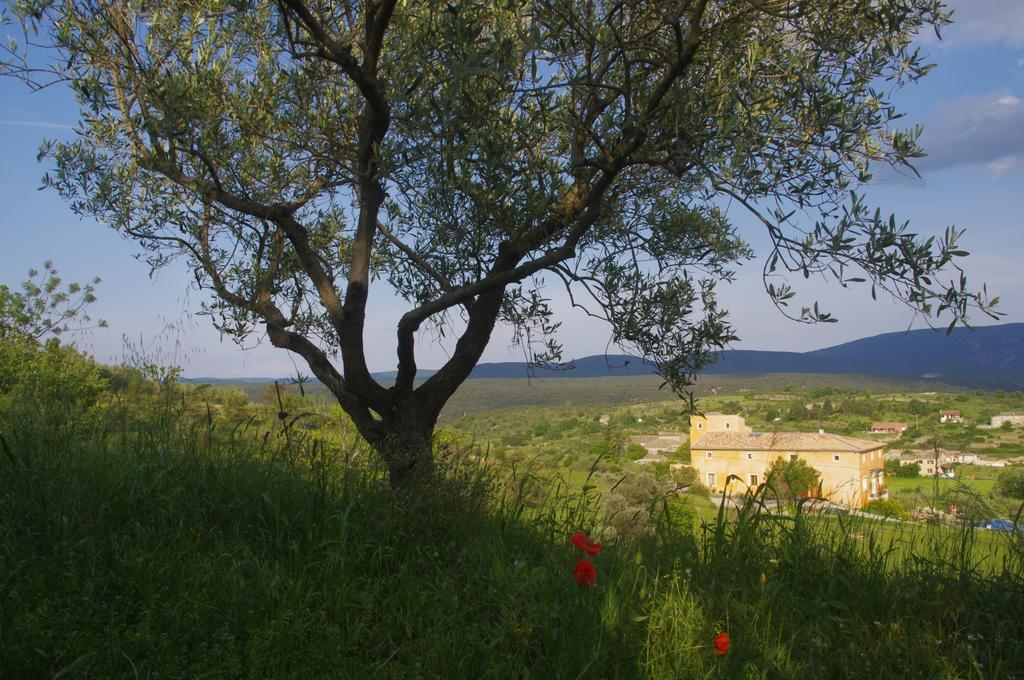Pontet-Fronzele Agrotourisme Ecologique, Maison D'Hotes & Spa لاغورس المظهر الخارجي الصورة
