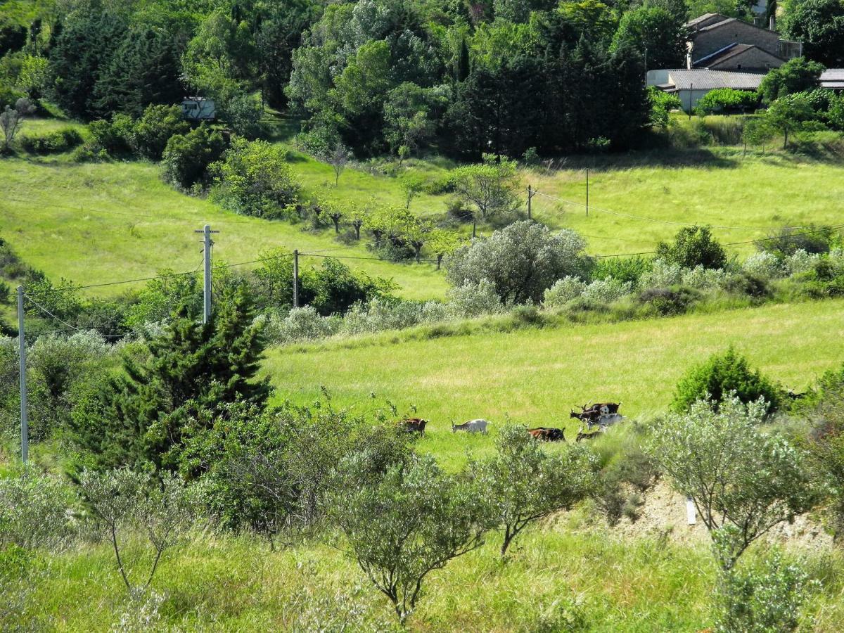 Pontet-Fronzele Agrotourisme Ecologique, Maison D'Hotes & Spa لاغورس المظهر الخارجي الصورة